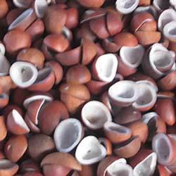 Coconut copra, Storage : Cool,Dry Place