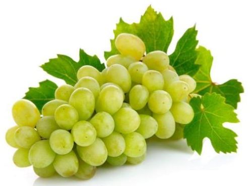 Fresh Grapes