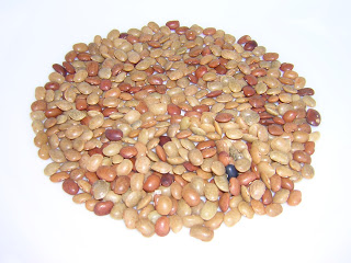 Horse gram