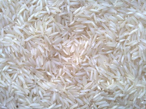 Raw basmati rice
