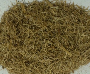 HKN Sugar Can Bagasse for Animal feed, Mushroom cultivation