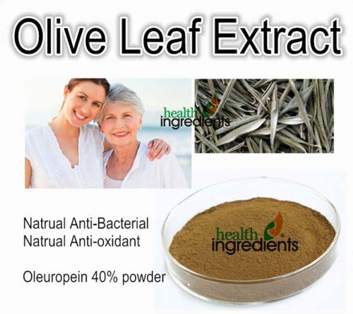 Olive Leaf Extract
