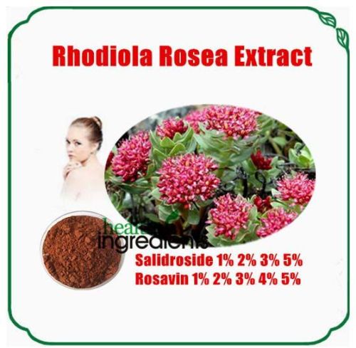 Rhodiola Rosea Extract