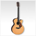 Electric Acoustic Guitars