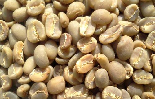 Robusta Coffee, Shelf Life : 6-12 Months