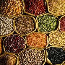 Indian Pulses