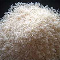 Raw Basmati Rice