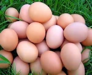 Brown Chicken Eggs