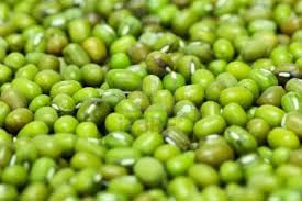 Green Mung Beans