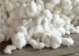 Raw Cotton