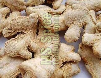 Organic Dried Ginger Finger, Packaging Type : Gunny Bags, Jute Bags, Plastic Packet