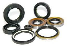 Oil Seals