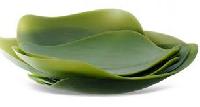 Natural Leaf Plate