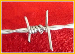 Double Twist Barbed Wire