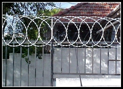 Razor Wire Flat Wrap Coils