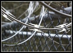 Stainless Steel Razor Wire