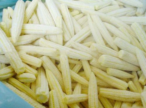 Frozen Baby Corn