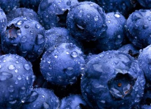 Frozen Cultivated Blueberries