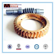 Customize Precision Metal Worm Gear, Brand Name : Whachine