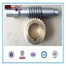 Multifunctional Double Worm Gear Reducer