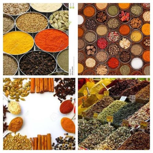 Indian Spices, Shelf Life : 1year