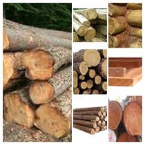 Hamlock Wood Timber Logs, For Industrial Use, Making Furniture, Feature : Durable, Hard Structure