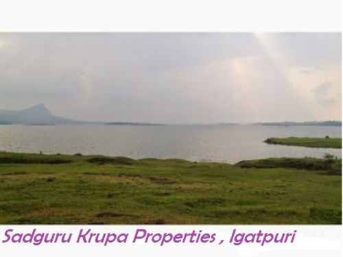 Agriculture Land & Plots