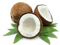 Fresh coconut, Texture : Hard