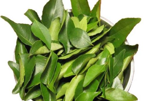 Raw Natural Curry Leaf, For Cooking, Spices, Food Medicine, Packaging Size : 50gm, 100gm, 200gm