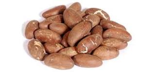 Bitter Kola Nuts, Appearance : Fresh