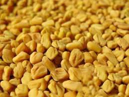 Fenugreek Seeds