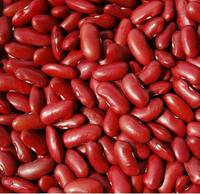 Kidney beans, Shape : Long Short, Packaging Type : PP Bags