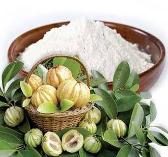 Garcinia Cambogia Extract
