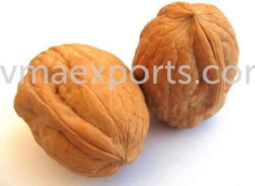 Walnuts, Usage : Light Sweet