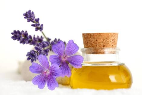 Geranium Oil