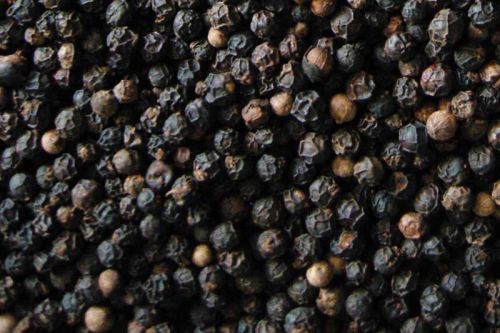 Black Pepper Seeds