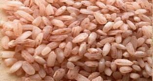 Red Matta Rice