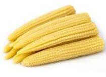 Fresh Baby Corn