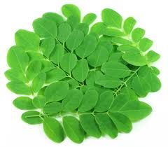 Fresh Moringa Leaves