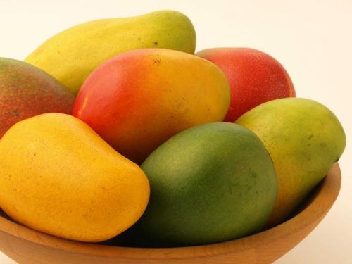 Organic Fresh Mango, Packaging Type : Corrugated Box, Jute Bags
