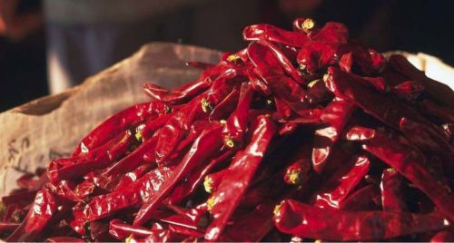 Dried Red Chilli