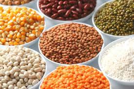 Organic and Non Organic Pulses