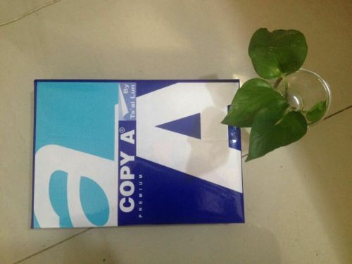 Copy Paper 210*297mm, Packaging Type : white