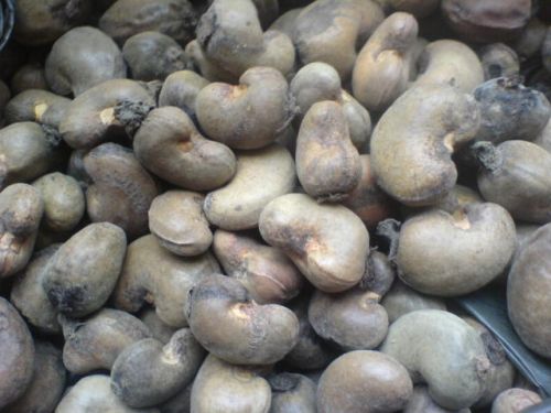 Raw Cashew Nuts, Usage : Light Sweet