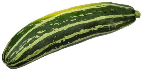 Organic Green Zucchini, For Cooking, Human Consumption, Feature : Good For Health, Nutritious, Protein