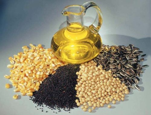 Common Oil Seeds, For Cooking, Packaging Type : Mason Jar, Plastic Pouch