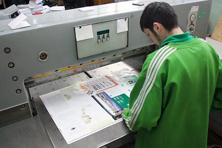 Printed Sheet Cutting Services