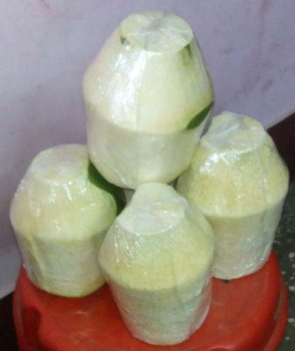 Organic Tender Coconut, Style : Green