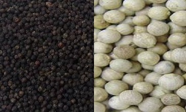 Black and White Pepper