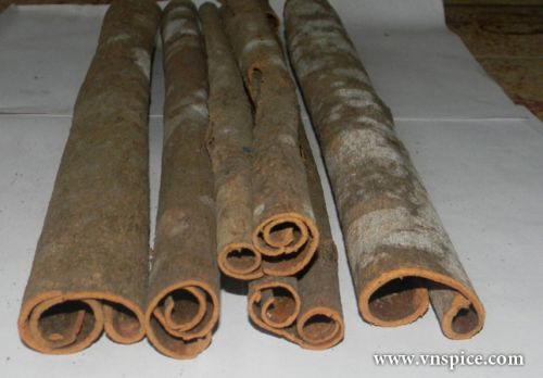 Whole Cassia